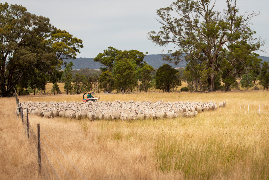 Planning for profitable agriculture in low carbon economy