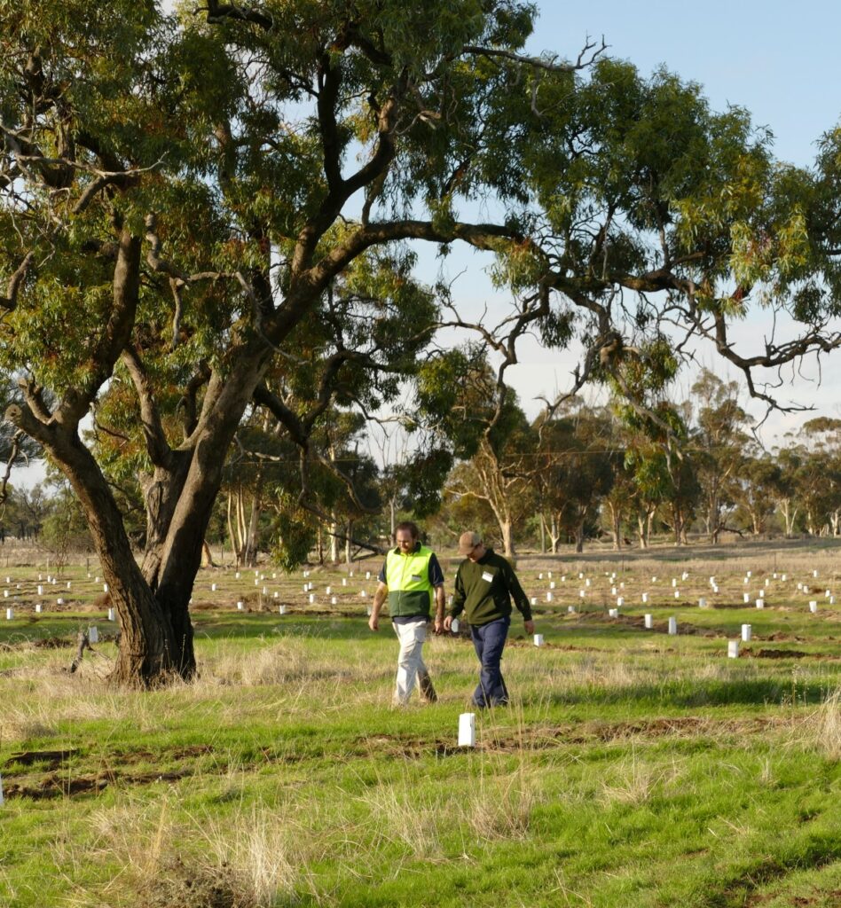 Planting the seeds for carbon farming in Victoria