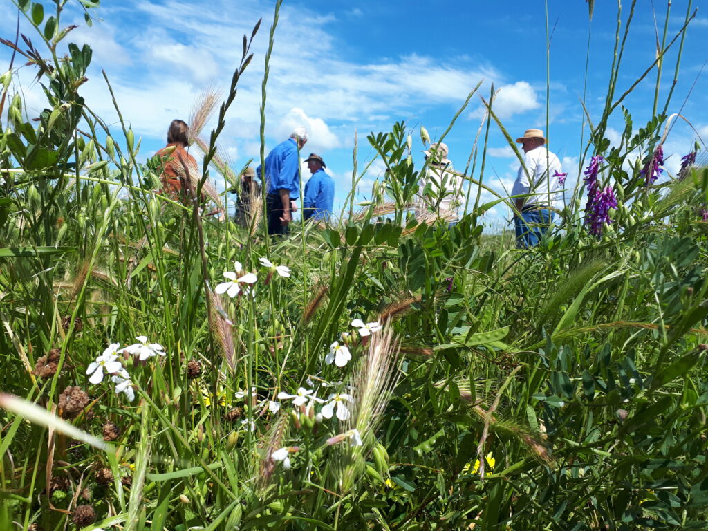 Soil health underpins adaptive management