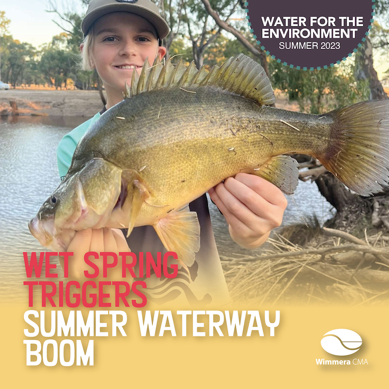 Wet spring triggers summer waterway boom