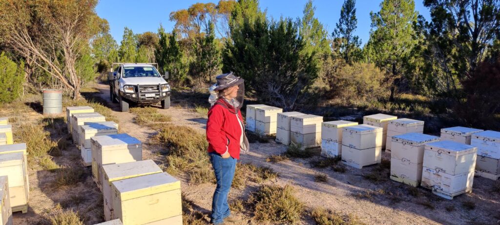 Angela with Bees at Lake Hindmarsh stop