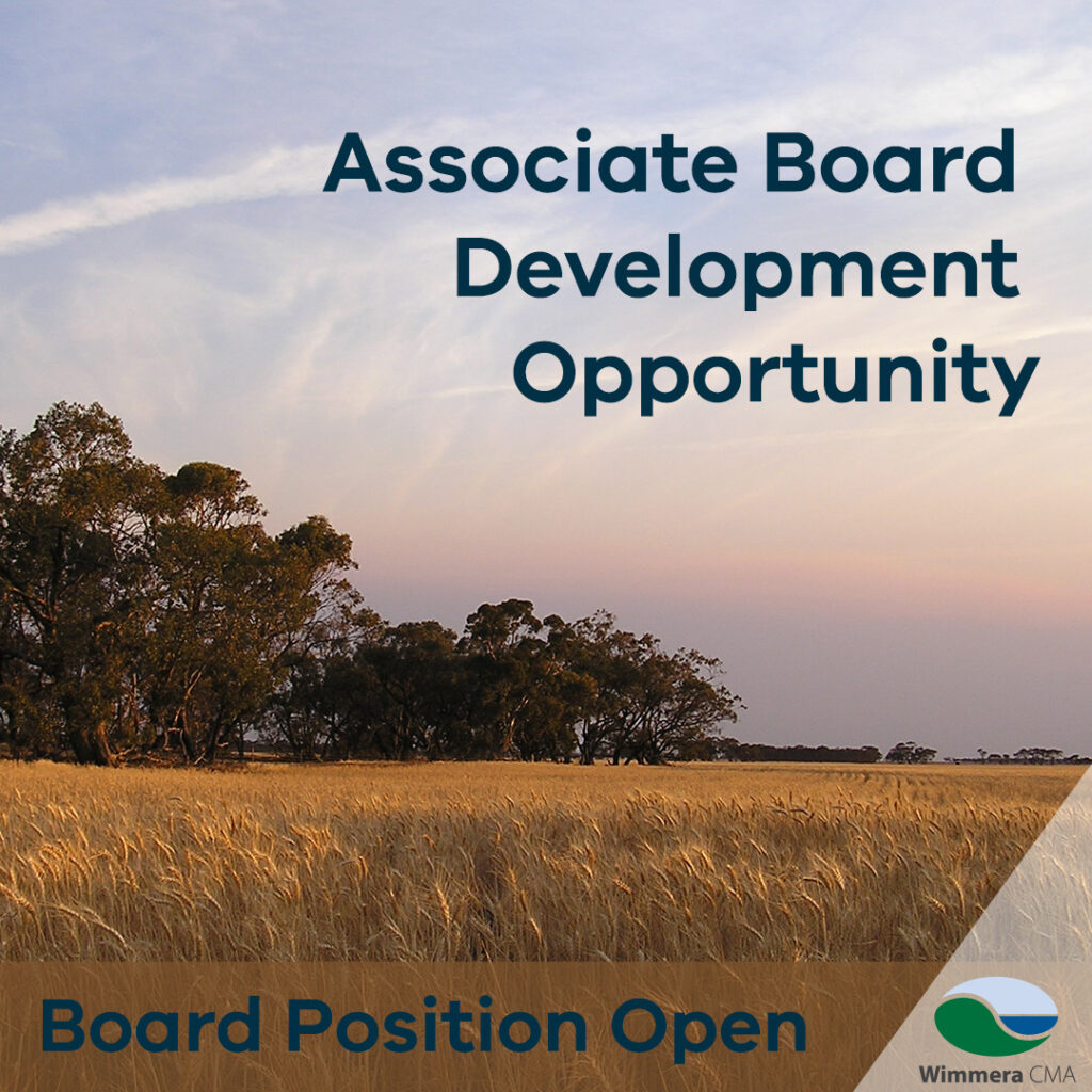 Associate (Youth) Board development opportunity