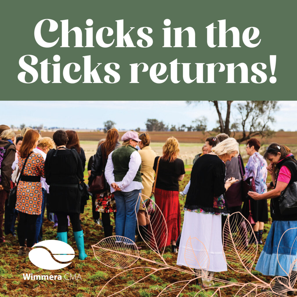 Chicks in the Sticks returns