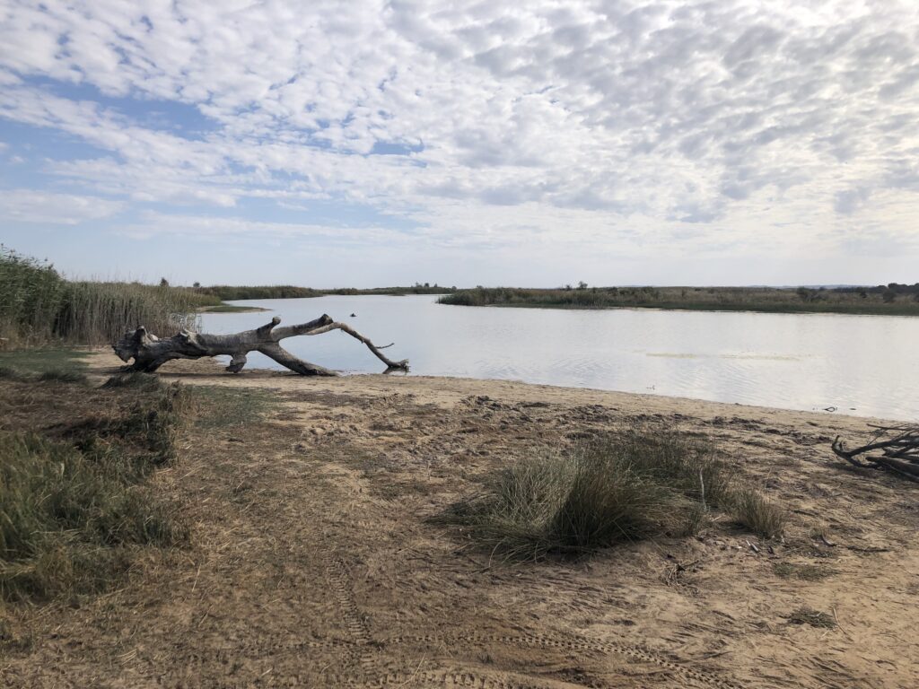 Wimmera River Jeparit April 2025