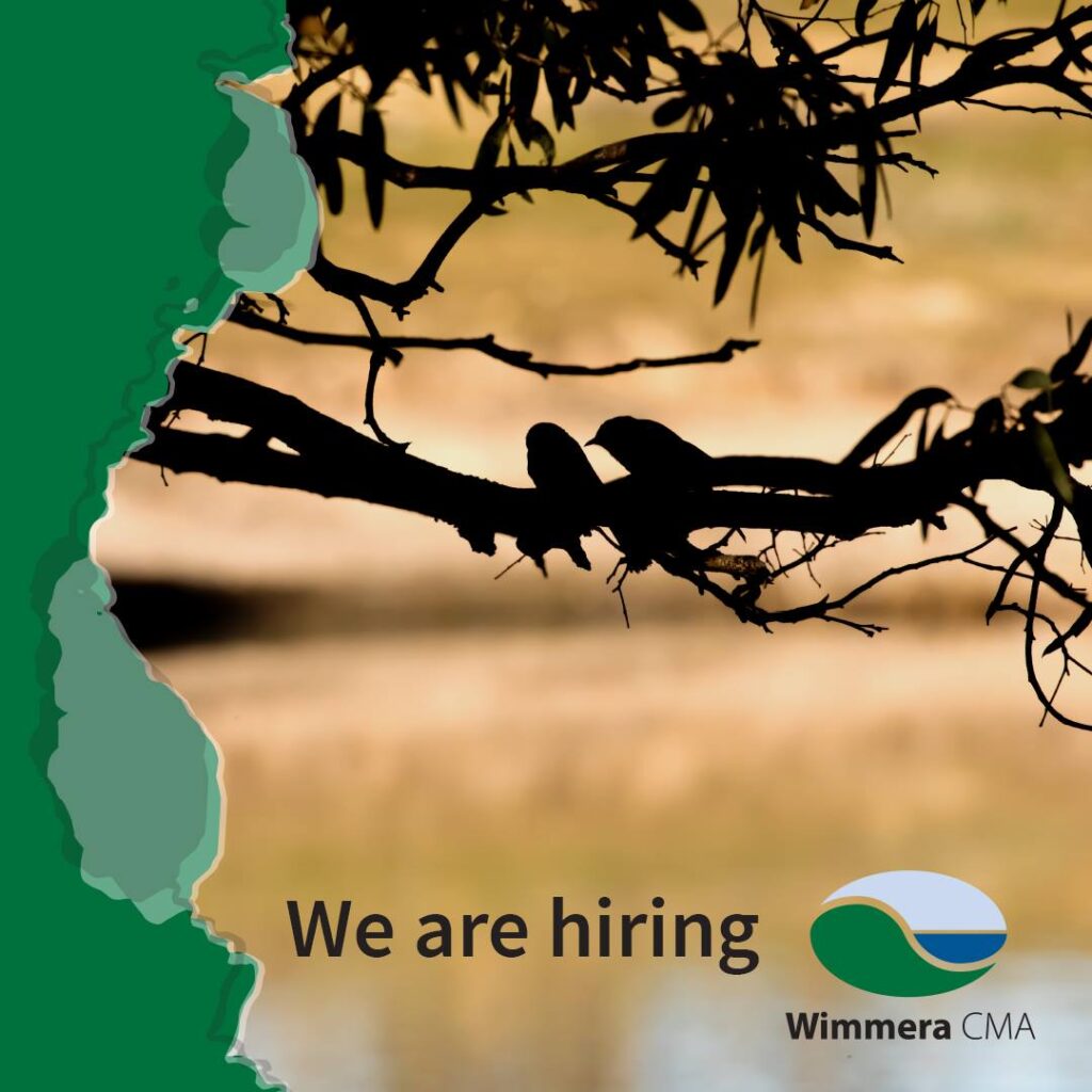We are Hiring image