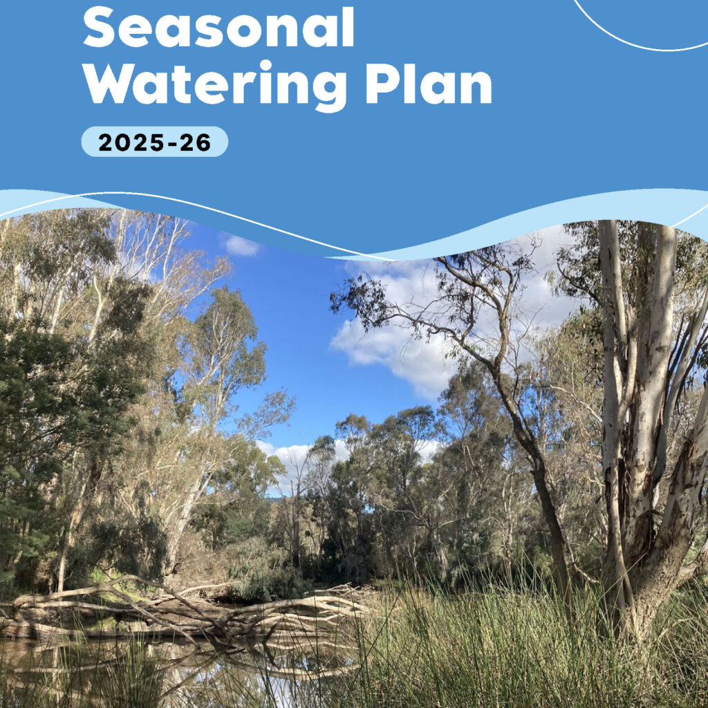 Building Resilience in the Wimmera: Environmental Watering for a Sustainable Future