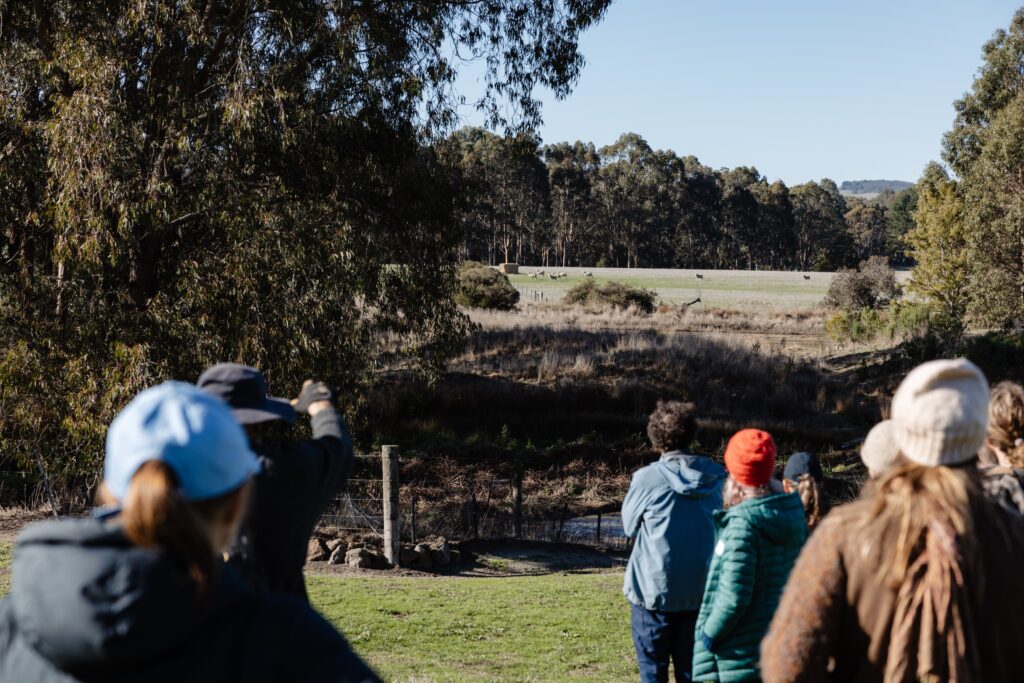 Livestock and Landscape farm tour