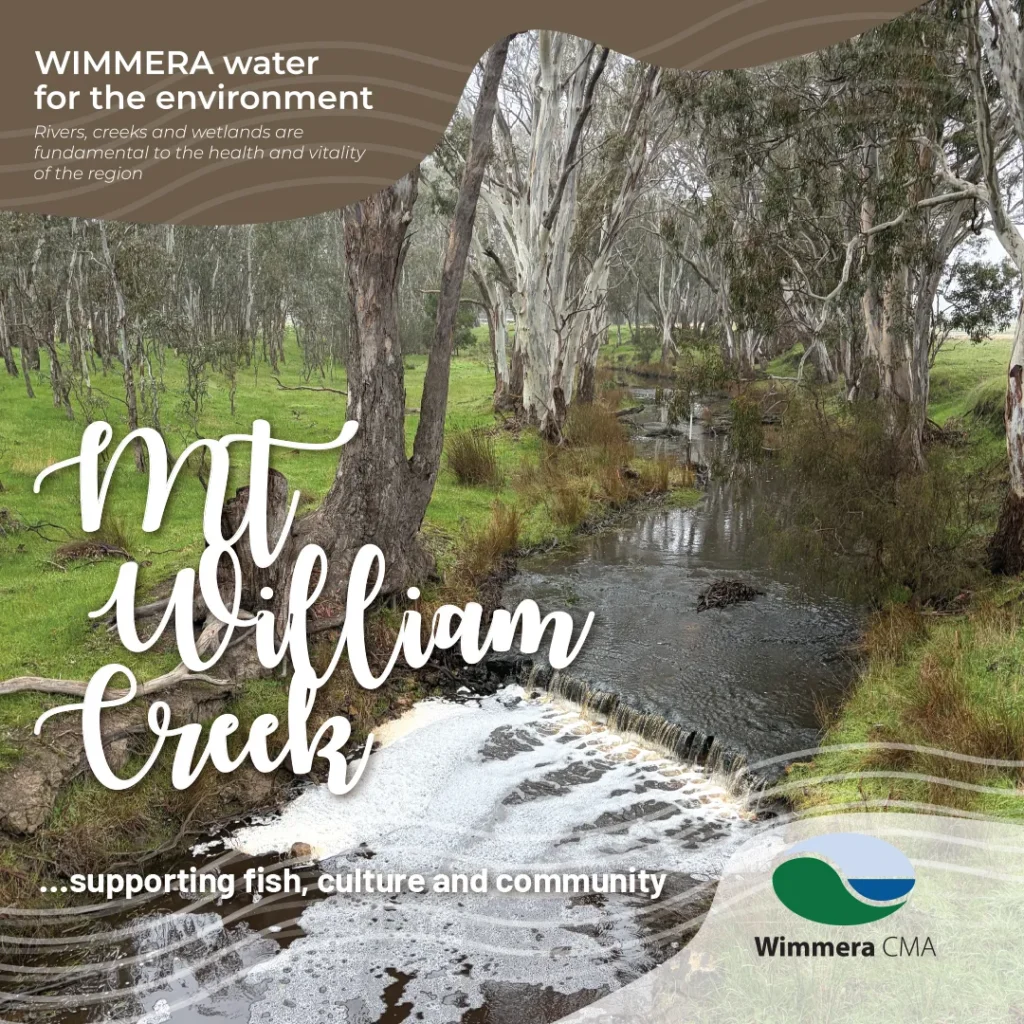 WIMMERA water for the environment – winter